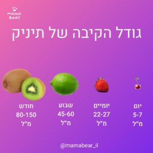 גודל הקיבה של התינוק - מאכלים להגברת חלב אם